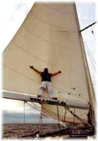 Skipper Kap von Istrien