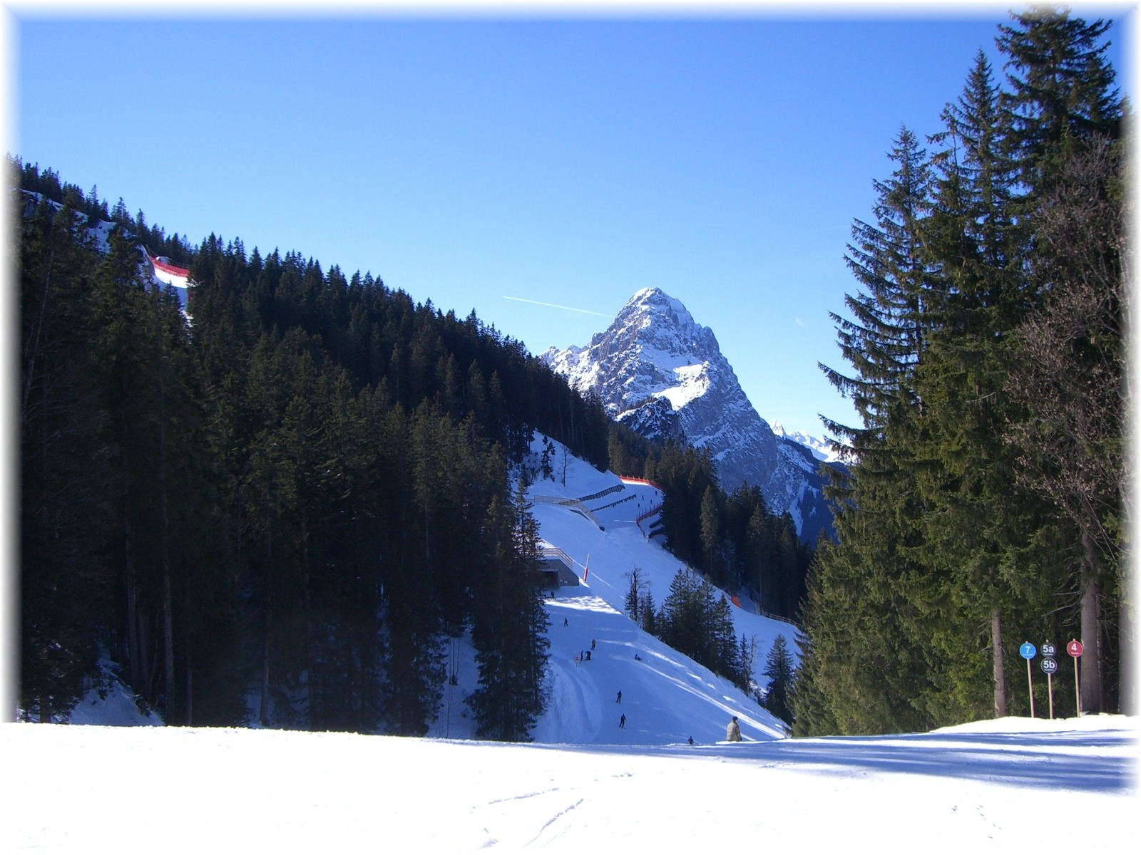 Winterski